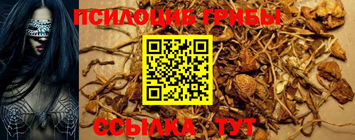 Галлюциногенные грибы GOLDEN TEACHER  Псилоцибиновые грибы прущие грибы  Вход с VPN  Ковров 